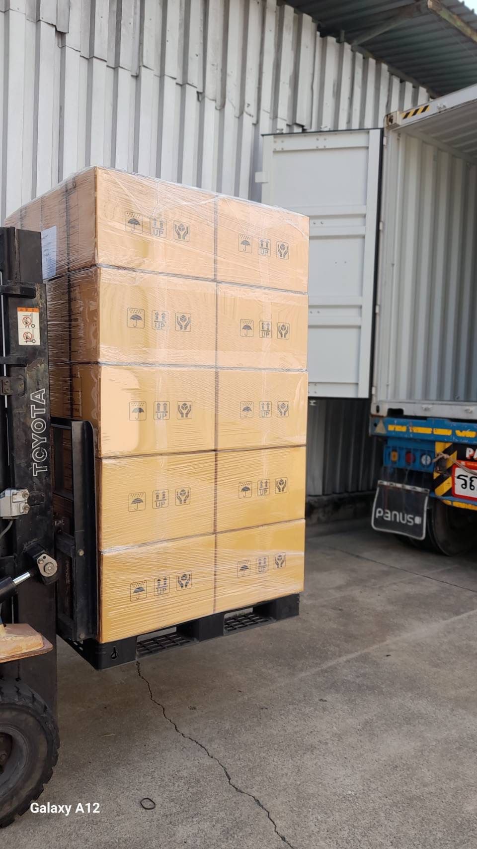 Packing operation 8